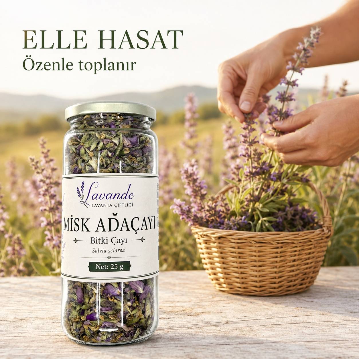 Misk Adaçayı (Clary Sage) — Lavande Lavanta Çiftliği (fotoğraf 3/8)