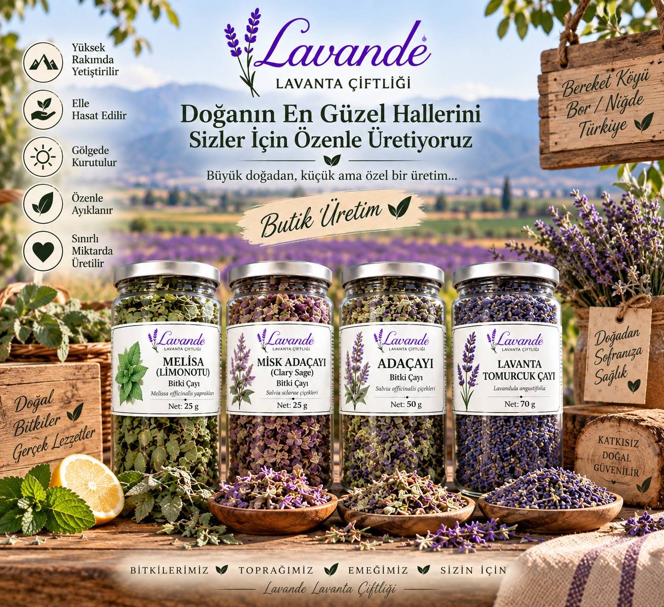 Misk Adaçayı (Clary Sage) — Lavande Lavanta Çiftliği (fotoğraf 8/8)