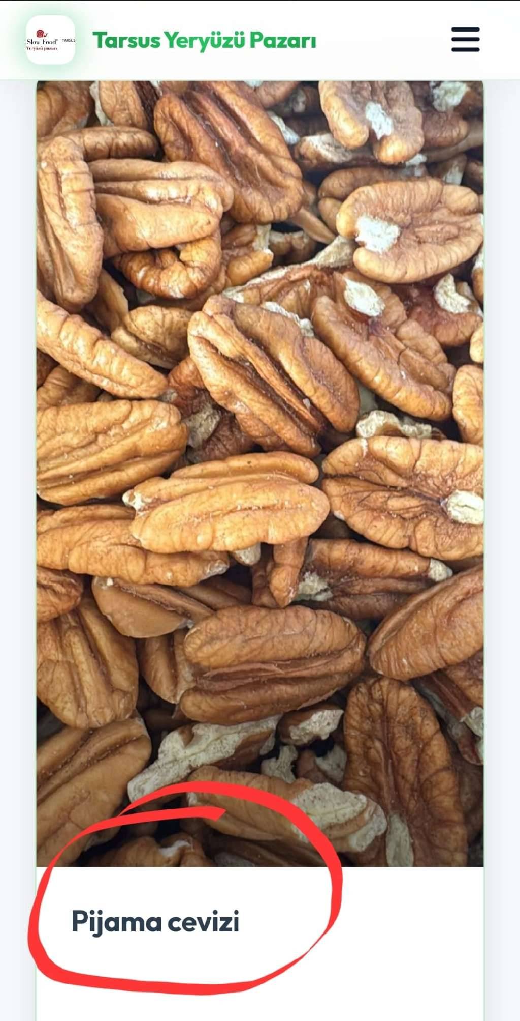Pikan cevizi — Nilifer Gören