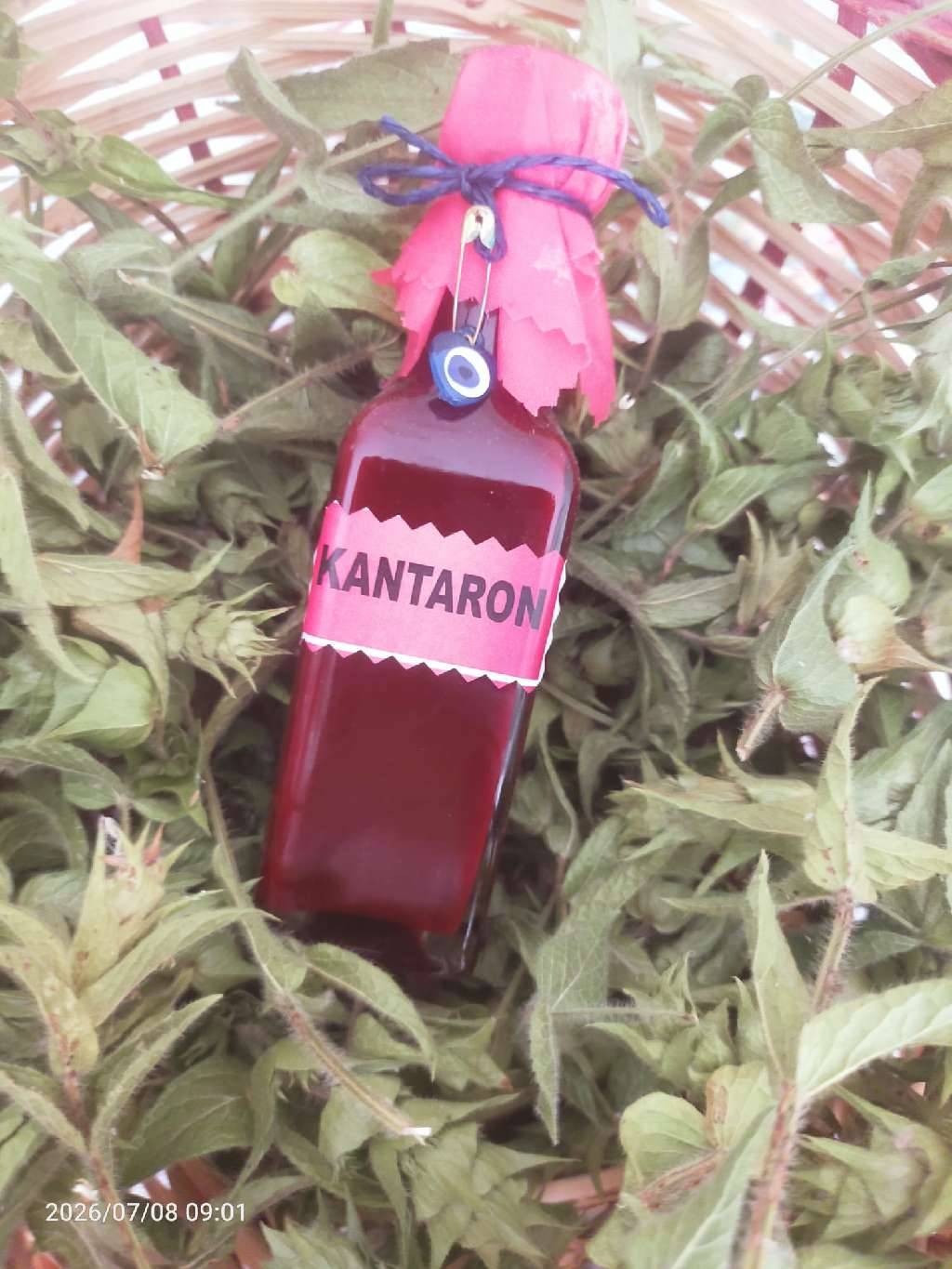 Kantaron — Süheyla Güven