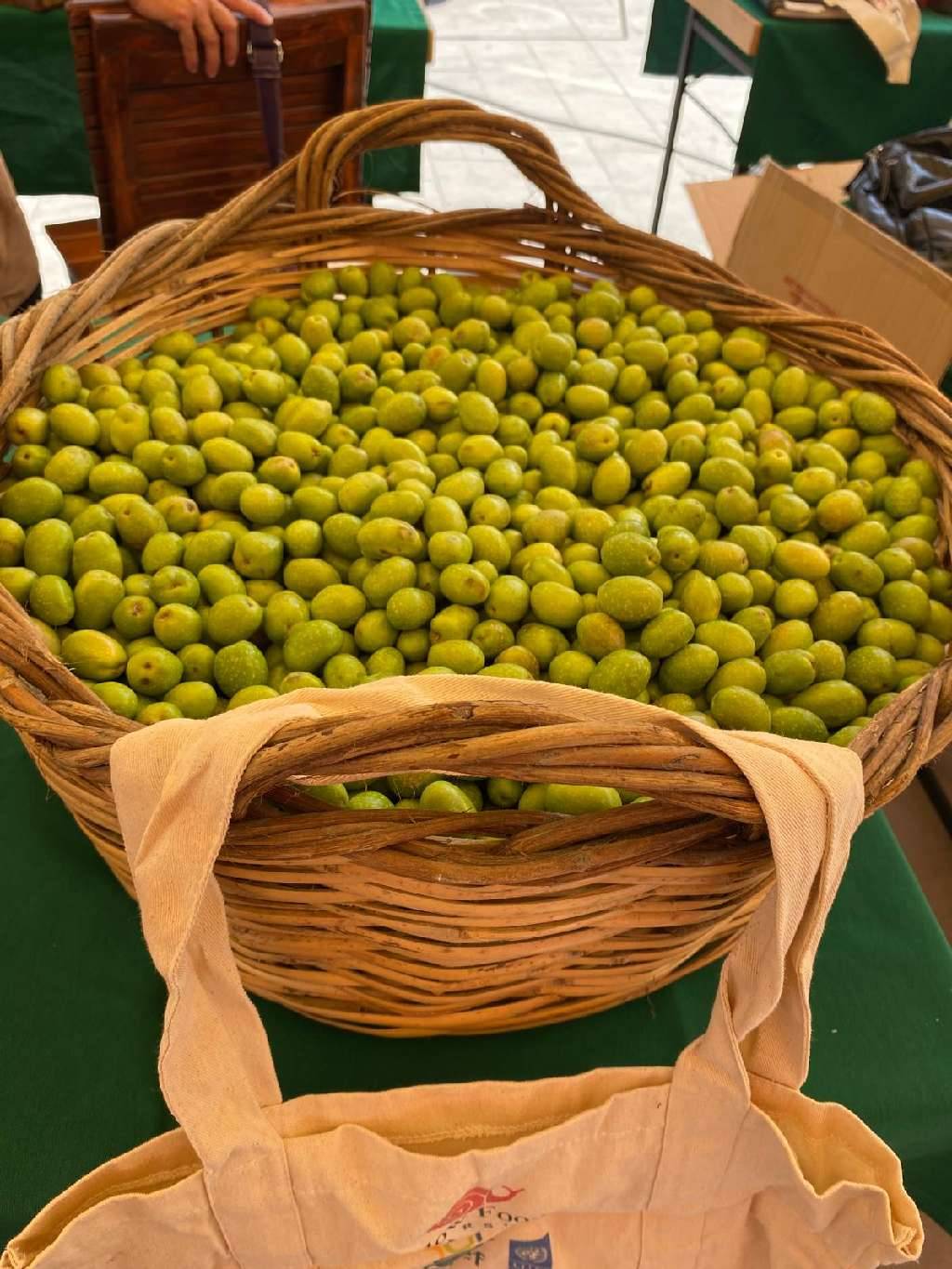Sarıulak zeytin — Duygu Özkan