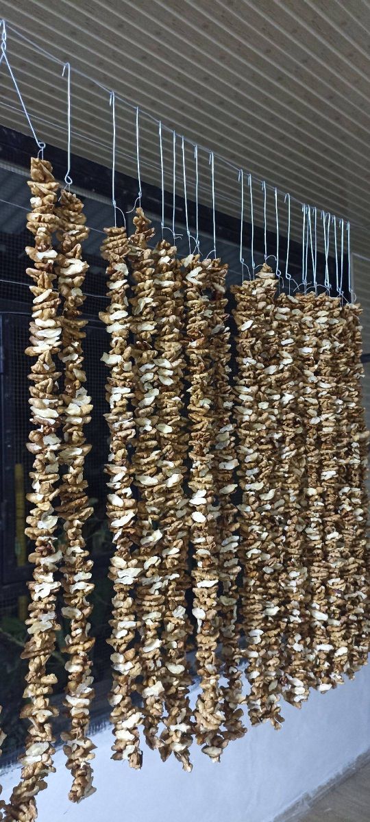  Bandırma (Cevizli Sucuk) — Hülya Tucay (fotoğraf 2/3)