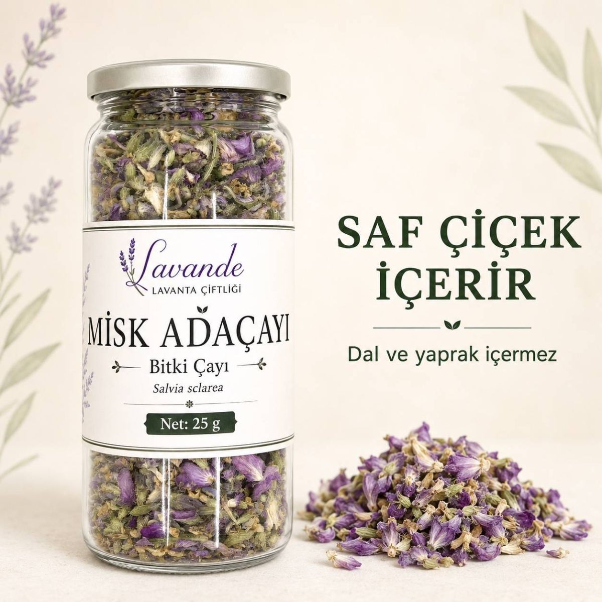 Misk Adaçayı (Clary Sage) — Lavande Lavanta Çiftliği (fotoğraf 5/8)