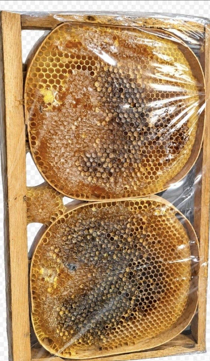 karakovan petek bal — Milya Fırsatbul, Yenişehir, Mersin