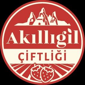 Mustafa Akıllı