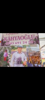 Kahyaoğlu Lavanta Nergis