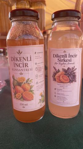 Dikenli İncir Ürünleri