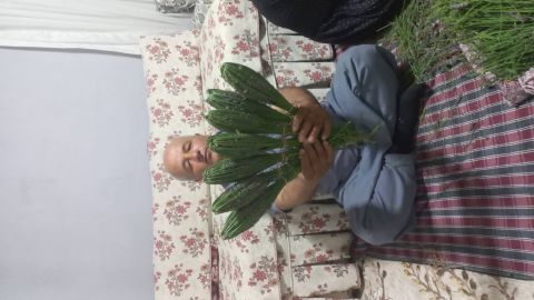 Kahyaoğlu Lavanta Nergis