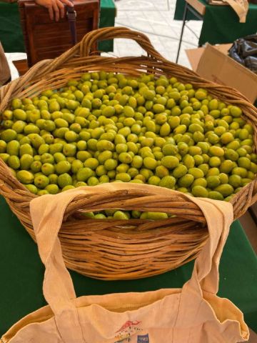 Sarıulak zeytin — Duygu Özkan
