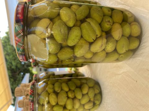 sarıulak zeytin — Duygu Özkan