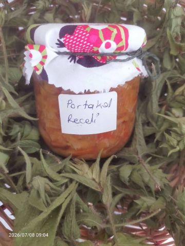 Portakal Reçeli